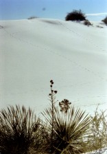 RouteErsterTag White Sands Düne