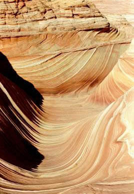 The Wave