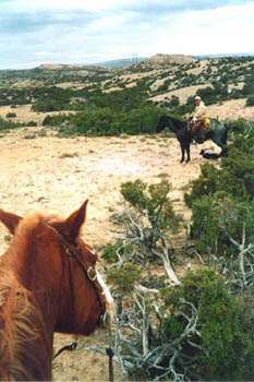 Der Cowboy und sein Hund