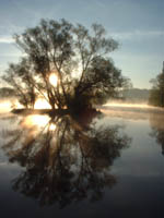 Am Obersee